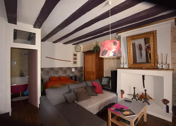 Apartamento Atypique La Roche-Posay